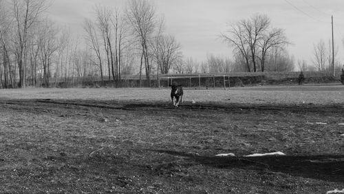 Full length of man on field against sky