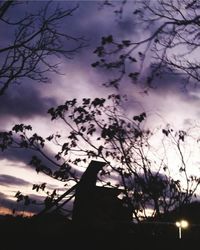 Silhouette of bare trees against cloudy sky