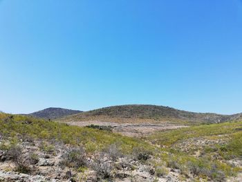 Scenic view of field against clear blue sky