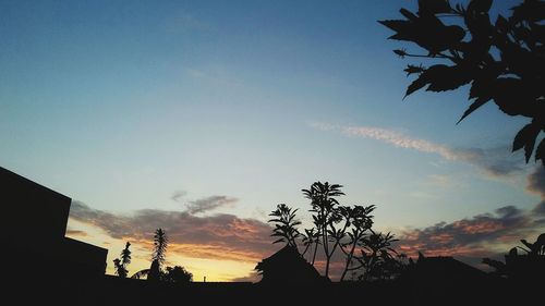 Low angle view of silhouette trees against sky at sunset