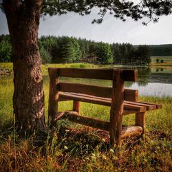 Empty bench in park