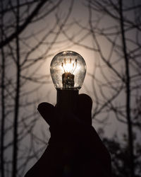 Close-up of hand holding illuminated light against tree at dusk