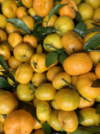 Arrangement of orange fruit in a box ready for sale