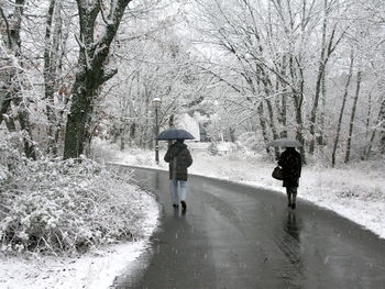 Rear view of women walking in park