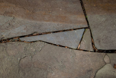 Close-up of wall