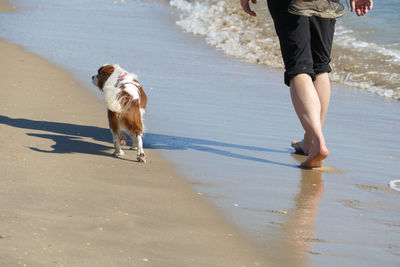 Rear view of woman walking on shore at beach