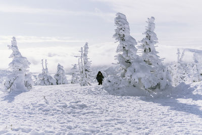 Scenic view of snow covered mountain against sky