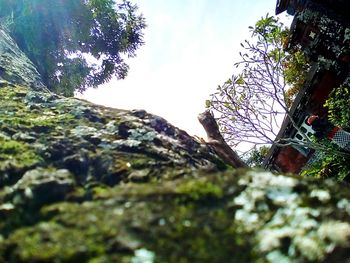 Low angle view of rock formation amidst trees against sky