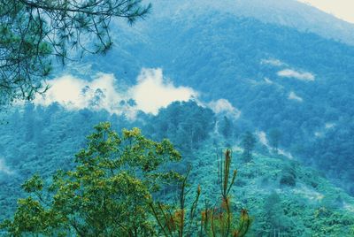Scenic view of waterfall against sky