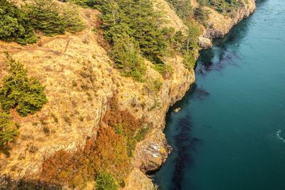 High angle view of rocks on shore