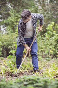 Mid adult man raking vegetable garden