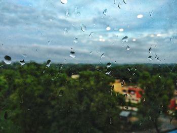 Raindrops on glass window