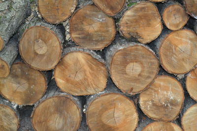 Full frame shot of logs