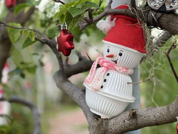 Close-up of christmas tree