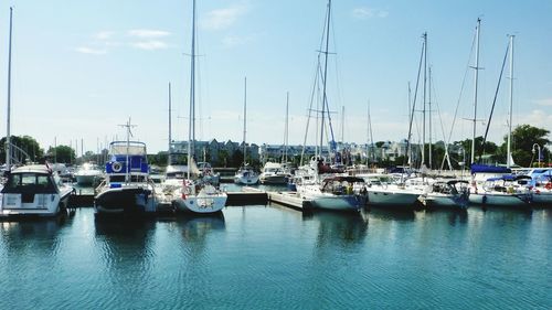 Sailboats moored at harbor against sky