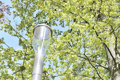 Low angle view of street light against sky