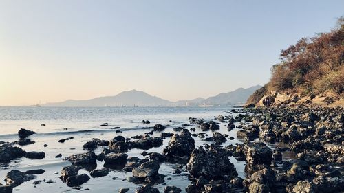 Scenic view of sea against clear sky