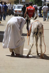 People walking on street in city