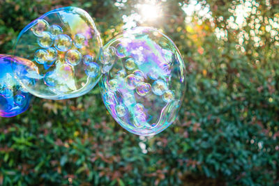 Close-up of bubbles