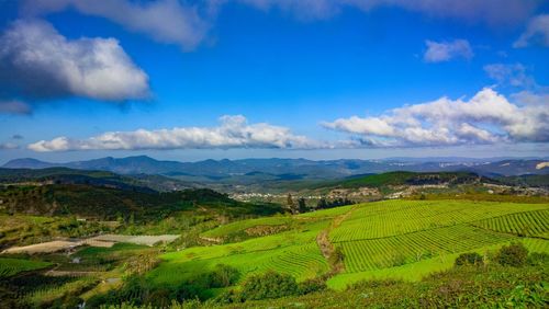 Scenic view of landscape against cloudy sky