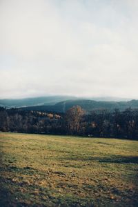 Scenic view of field against sky