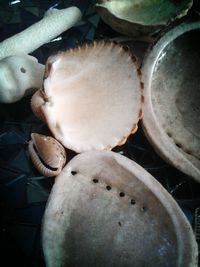 Close-up of food on table