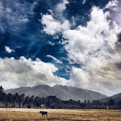 Scenic view of landscape against cloudy sky