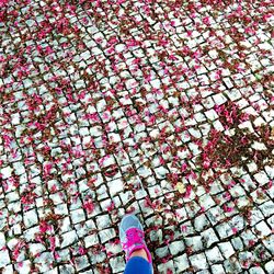 Low section of woman standing on footpath