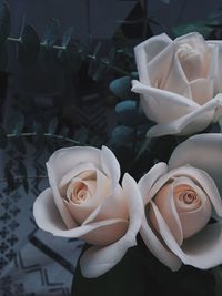 Close-up of roses blooming outdoors