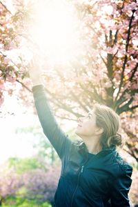 Woman looking at cherry tree in park during sunny day