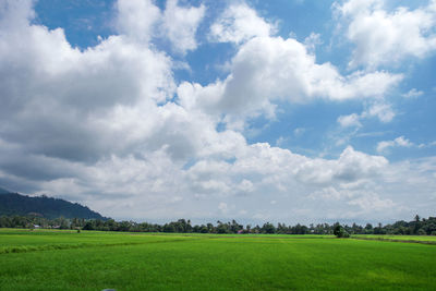 Scenic view of field against sky