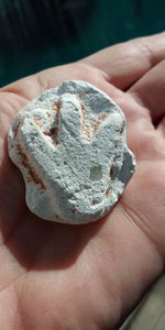 Close-up of hand holding ice cream