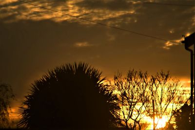 Silhouette trees against sky during sunset