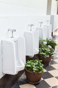 Potted plants on table at home