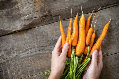 Female hands hold ripe juicy carrots over a wooden kitchen table. 