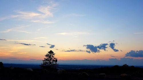 Silhouette tree against sky during sunset