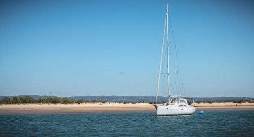 Sailboat sailing on sea against clear blue sky