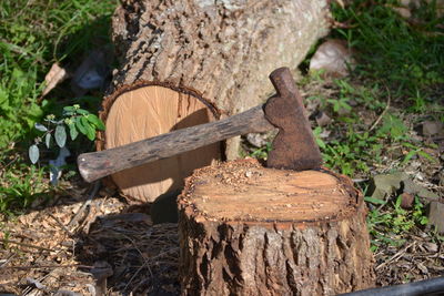 High angle view of axe on tree stump