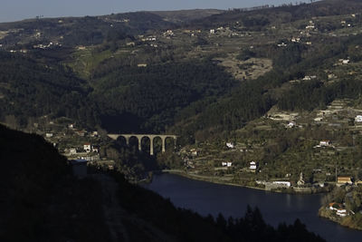 High angle view of trees and buildings in city