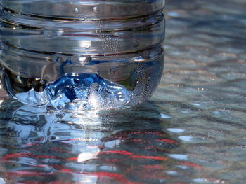 Close-up of turtle in water