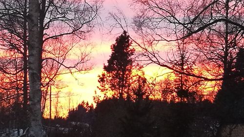 Silhouette trees against sky during sunset