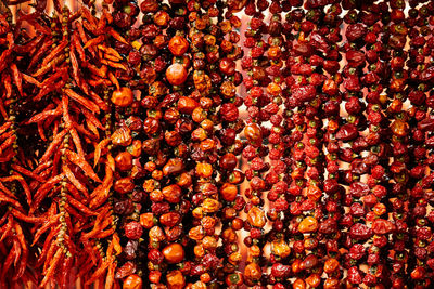 Close-up of dried red chili pepper hanging at market stall