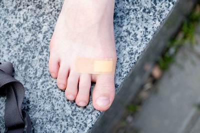 human leg