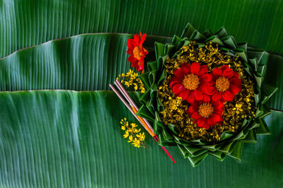 High angle view of flowers on table