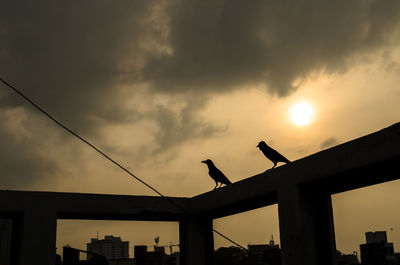 Low angle view of birds perching on building