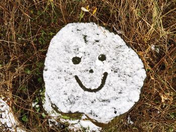 Close-up of heart shape on grass