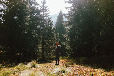Rear view of man standing by trees in forest