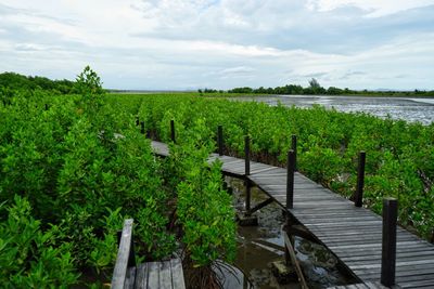 Scenic view of field by lake against sky