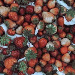 Full frame shot of strawberries for sale in market