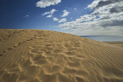 Scenic view of sand dune on beach against sky